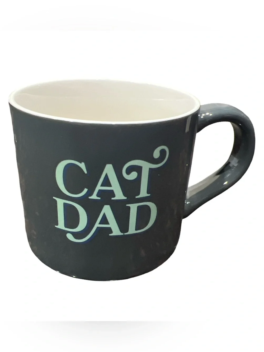 Parker Lane CAT DAD Mug Teal & Dark Gray Cat Parent Cat Lover Gift Pet